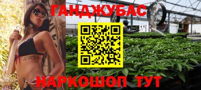 мет Кингисепп