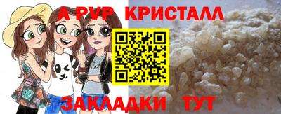 мет Кингисепп
