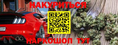 мет Кингисепп