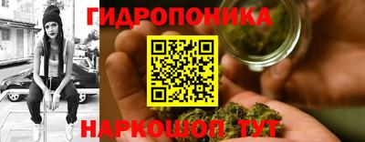 кокс Кимры