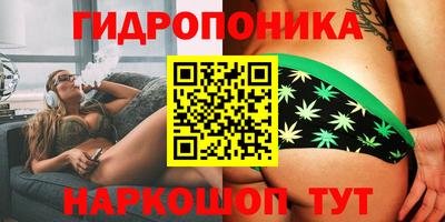 мет Кингисепп