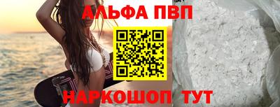 мет Кингисепп