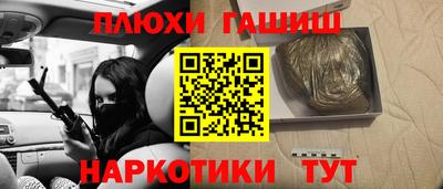 мет Кингисепп